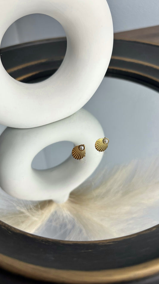 Small Seashell Earrings