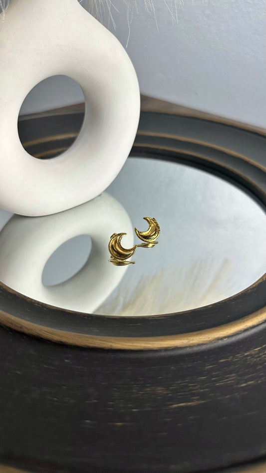 Small Moon Earrings